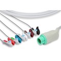 Cables & Sensors DRE Compatible Direct-Connect ECG Cable - 5 Leads Pinch/Grabber C2580P0